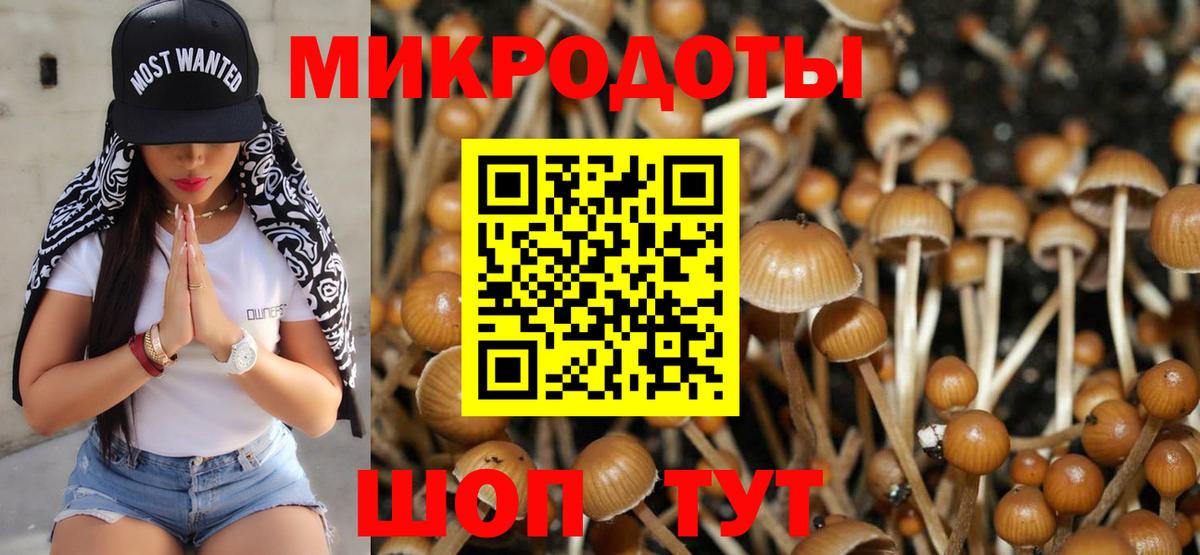 Реутов  Псилоцибиновые грибы Cubensis  Вход с VPN  Псилоцибиновые грибы Psilocybine cubensis 